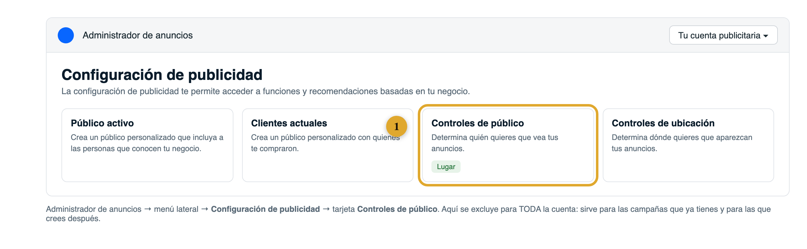 Pantalla de Configuración de publicidad con la tarjeta Controles de público resaltada